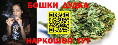 apvp Кандалакша
