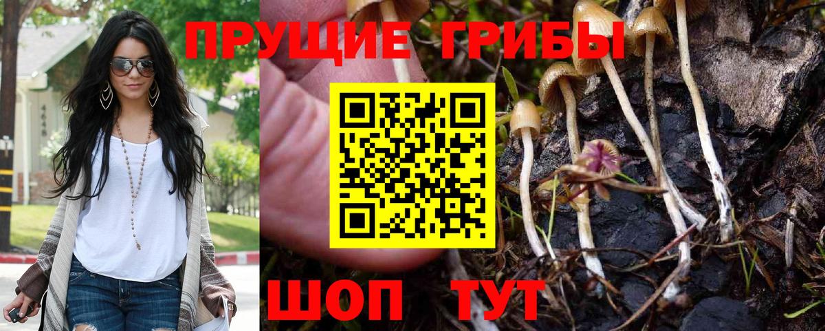 Галлюциногенные грибы Cubensis  Вход с VPN  Галлюциногенные грибы мицелий  Краснознаменск 